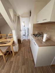 Newly reconstructed one bedroom apartment in the city center, Hradec Králové  - 0473