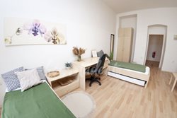 One bedroom available in a three bedroom apartment in the city center, Brno - DSC_0563