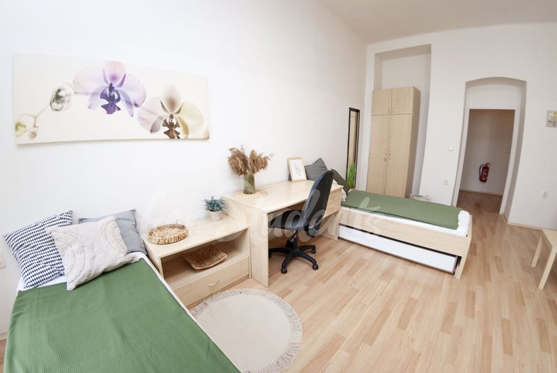 One bedroom available in a three bedroom apartment in the city center, Brno (file DSC_0563.jpg)