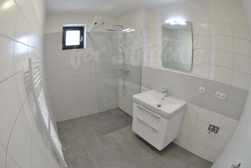 Double room in bright modern new apartment close to Brno City centre (file SC_0934.jpg)