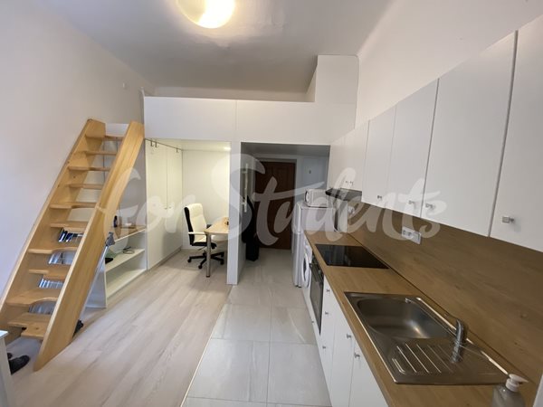 Newly reconstructed studio apartment in the city centre, Hradec Králové - 14/24