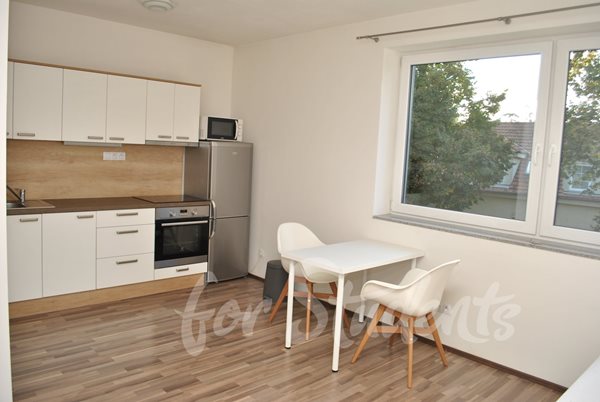 Great studio in Brno- Tuřanské náměstí - B06/23
