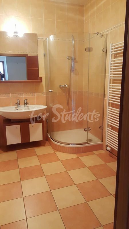 Four/Three bedroom apartment near the city center, Hradec Králové (file 23192470_10155803264448550_1770531164_o.jpg)