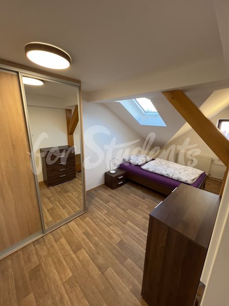 Newly reconstructed one bedroom apartment in the city center, Hradec Králové  - 19/25