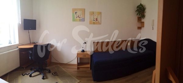 Spacious studio apartment close to the Faculty of Medicine, Prague - P7/23