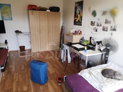 Spacious one bedroom apartment in New Town, Hradec Králové  - IMG_20220614_072206-01
