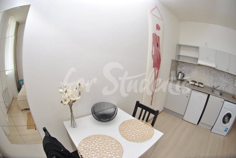 Studio apartment on Spolková Street, Brno  (file SC_0384.jpg)