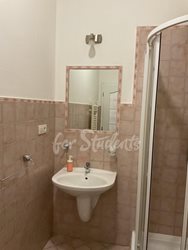 Studio apartment near the city center, Prague - IMG_7913