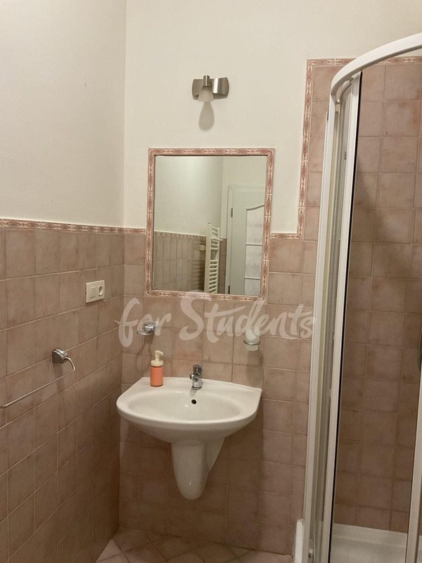 Studio apartment near the city center, Prague (file IMG_7913.jpg)