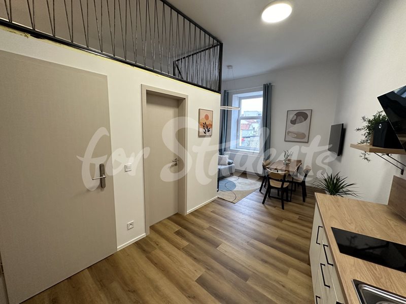Modern maisonette apartment on Vlhká Street, Brno (file G_5112-3.jpg)