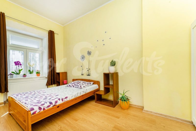 One bedroom apartment on K. H. Máchy Street, Hradec Králové  (file DSC00172.jpg)