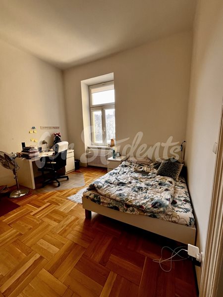 One bedroom available in female 3bedroom apartment in a student's house in the center of town, Hradec Králové - R2/25