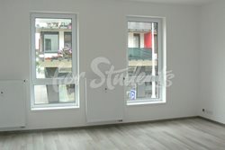 New spacious studio apartment, Brno - byt-c-2_pokoj3