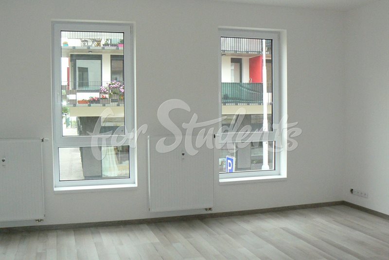 New spacious studio apartment, Brno (file byt-c-2_pokoj3.jpg)