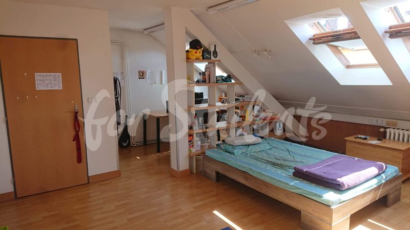 One bedroom available in male two bedrooms apartment in Eliščino nábřeží, Hradec Králové (file IMG-20200701-WA0006.jpg)