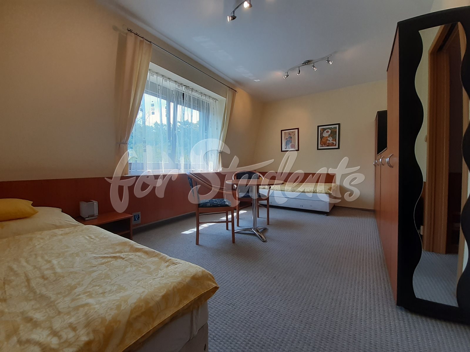Great double room with a private bathroom, Brno