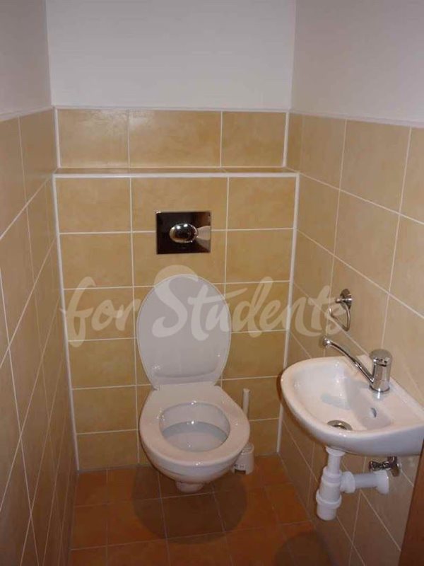 Spacious studio apartment in the Old Town available from August, Hradec Králové (file 14-(2).jpg)