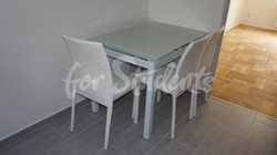 Modern three bedroom apartment in the Old Town, Hradec Králové - DSC00304