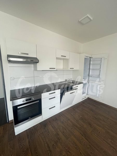 Bright and spacious 2kk flat near the city centre-Brno - B32/23