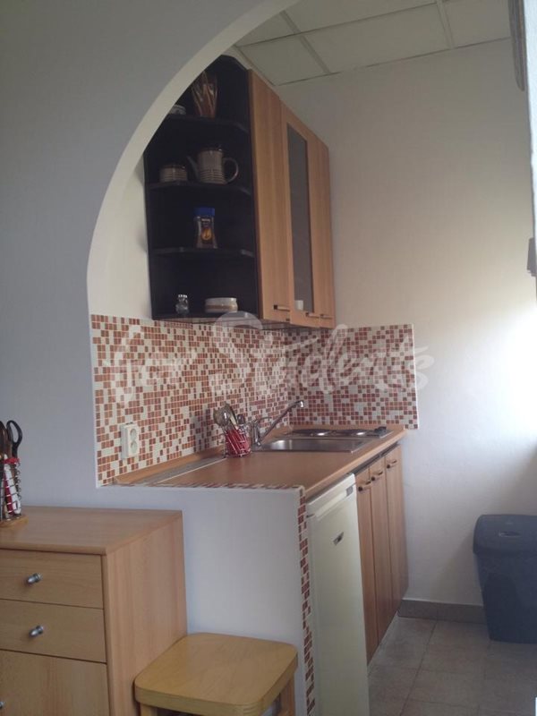 Spacious studio apartment close to the Faculty of Medicine, Prague (file 10320260_656872274401603_7549173512226551758_n.jpg)