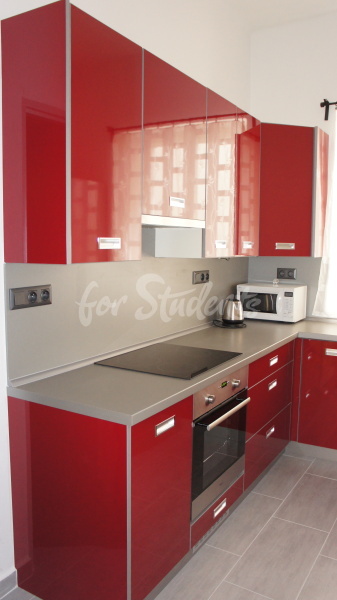 Modern three bedroom apartment in the Old Town, Hradec Králové (file DSC00301.jpg)