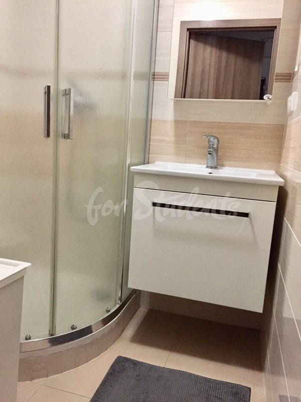 Modern two bedrooms apartment in Pod Zámečkem, Hradec Králové (file image18.jpg)