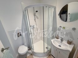 Modern studio apartment close to the Faculty of Medicine, Prague - PHOTO-2025-10-03-16-47-03