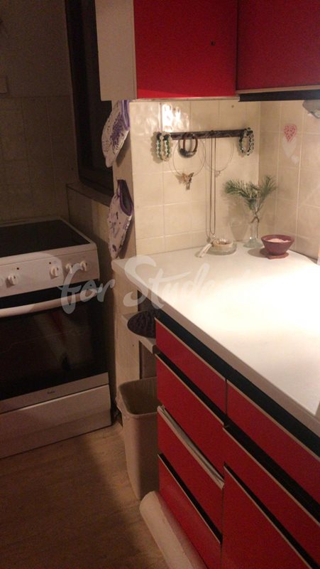 One room available in female shared apartment, 10min from city center, Prague (file IMG-20200124-WA0008.jpg)