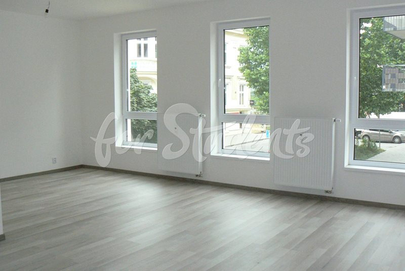 New spacious studio apartment, Brno (file byt-c-2_pokoj2.jpg)