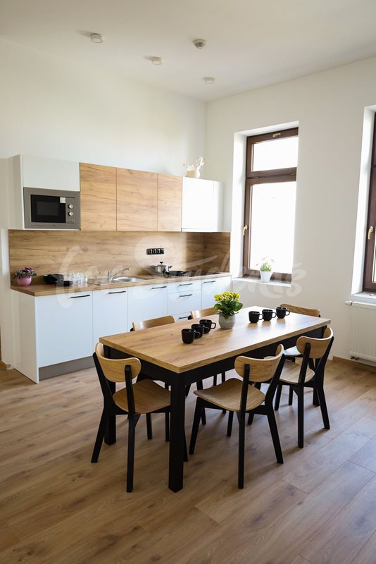 Newly reconstructed rooms in a student's house, Hradec Králové (file 3.jpg)