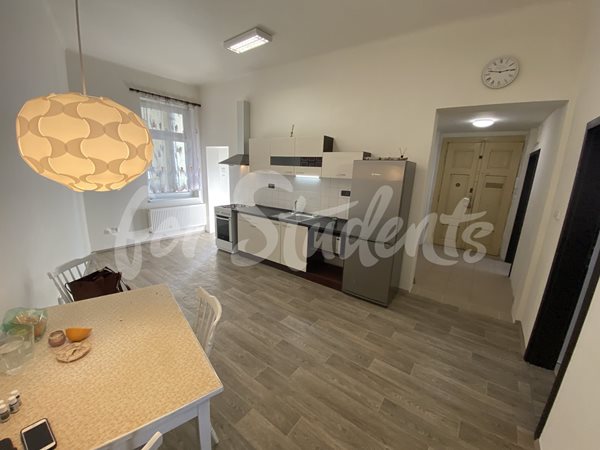 One room available in male three bedroom apartment in the city center, Hradec Králové - R14/22