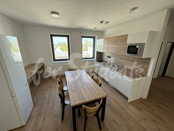 One brand new room in a four bedroom mixed apartment in a student's house, Hradec Králové - R8/25