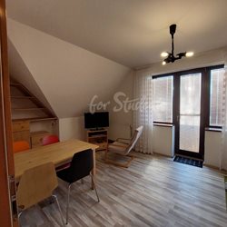 Spacious two bedroom apartment in a family house, Prague - PHOTO-2023-09-19-15-45-26-2