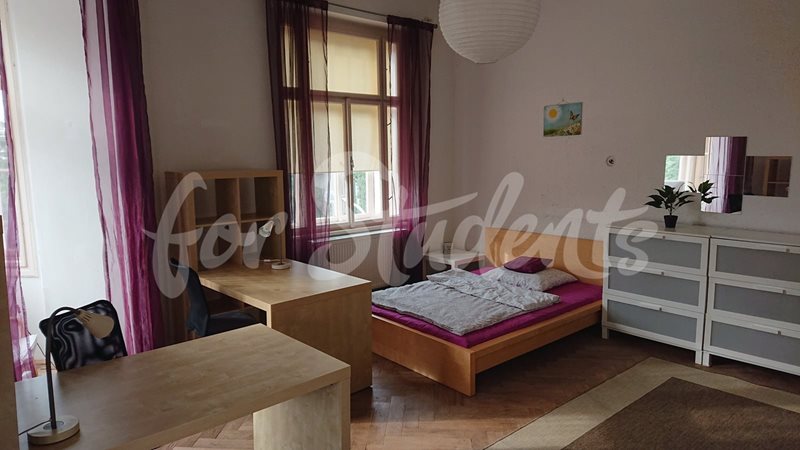 One spacious bedroom available in four bedroom female apartment in Buzulucká street, Hradec Králové (file large-corner-room-1b.jpg)