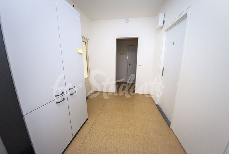 Private room near Campus, Brno (file DSC_1129.jpg)