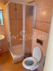 Two bedrooms available in newly reconsted two bedroom attic apartment on Na Jezerce, Prague - PHOTO-2023-07-14-13-36-02-4