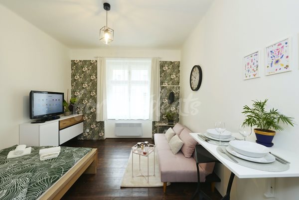 Modern studio apartment near the city center, Hradec Králové - 20/23