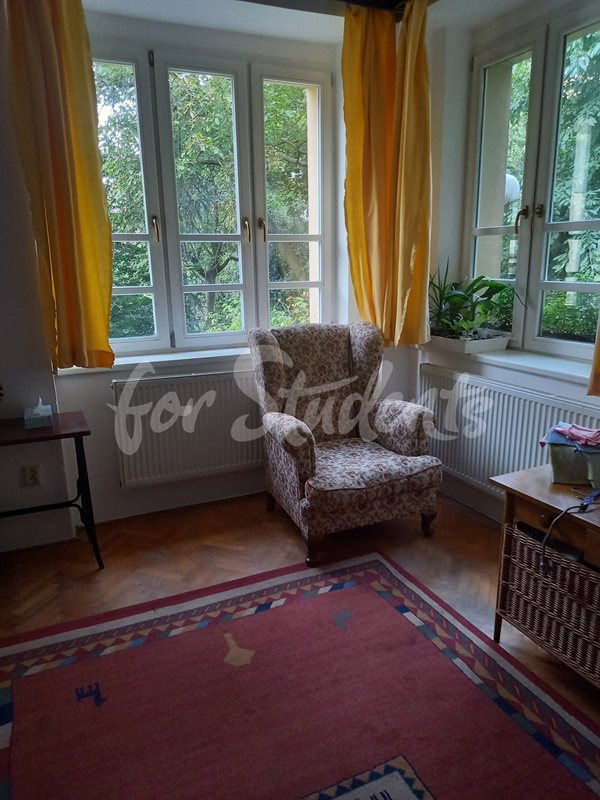 One room in a spacious three bedroom apartment, Prague (file 20210907_175236.jpg)