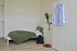 Lovely sunny loft-shared flat in the centre of Brno - B_4