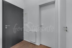 Brand new luxurious two bedroom apartment in Tylovo nábřeží, Hradec Králové - DSC09934