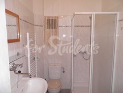 One bedroom apartment in Vinohrady, Prague - (7)