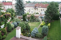 One bedroom apartment available in Old Town, Hradec Králové - DSC02426