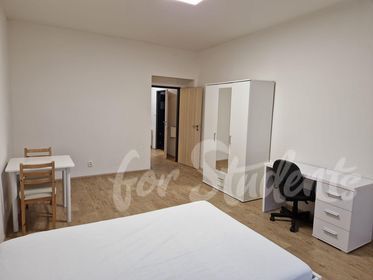Light and furnished 1+1 apartment, close to the city centre, Brno - B26/23