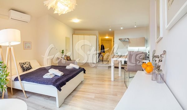 Studio apartment in Brno centre (Veveří district) - B31/23
