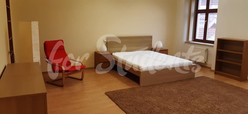 Two bedroom apartment in the Old Town, Hradec Králové (file 133033900_3711103788953092_272212637133811041_n.jpg)