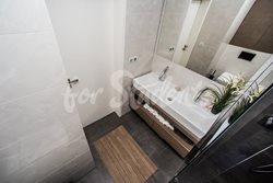 Luxurious one bedroom apartment in Brno-Lužánky - MIL_4357