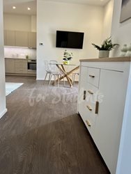 Fully furnished brand new one bedroom apartment in Tylovo nábřeží, Hradec Králové - IMG_2282