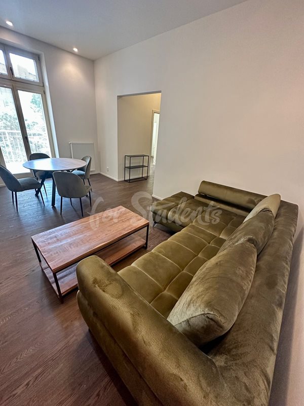 Fully furnished brand new one bedroom apartment in Tylovo nábřeží, Hradec Králové (file IMG_4542.jpg)