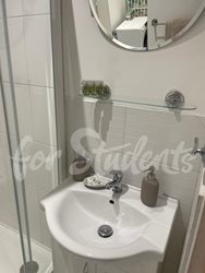 Modern studio apartment close to the Faculty of Medicine, Prague - PHOTO-2025-10-03-16-48-19