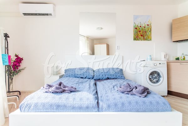 Trendy studio apartment in Brno centre (Veveří district) - B10/22